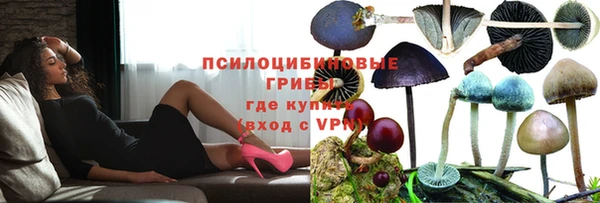 молекула духа Абинск