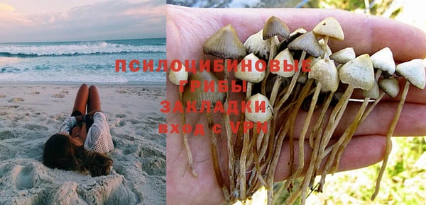 дживик Абаза