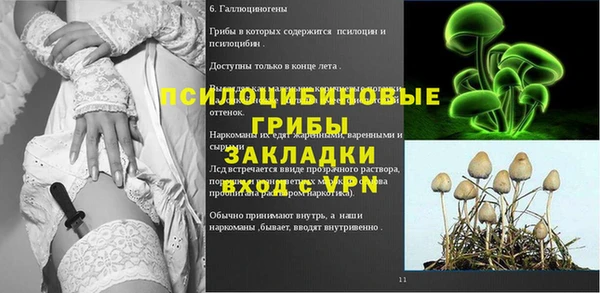 дживик Абаза