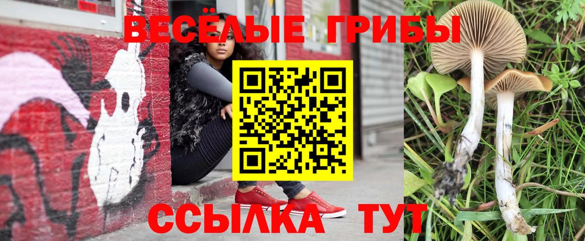 Галлюциногенные грибы Magic Shrooms  Вход с VPN  Псилоцибиновые грибы мицелий  Алатырь 